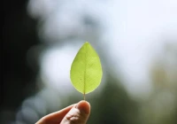 心烦心累心情不好(表面上那么的快乐)