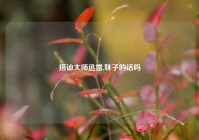 搭讪大师迅雷,妹子的话吗