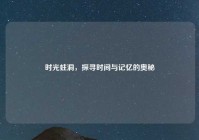 时光蛀洞，探寻时间与记忆的奥秘