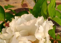 伤感说说2022最新致自己(2022最红伤感歌男士唱的)