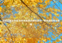 送给女朋友惊喜,如何用简单的食材做出一顿浪漫的烛光晚餐