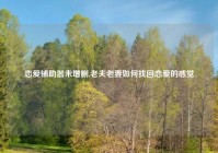 恋爱辅助器未增删,老夫老妻如何找回恋爱的感觉