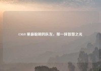 CSGO 里最聪明的队友，那一抹智慧之光