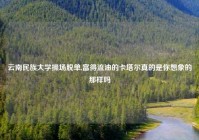 云南民族大学操场脱单,富得流油的卡塔尔真的是你想象的那样吗