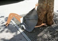 搞笑语句笑死人一句话50字(你老家有什么土话会让别人感觉特别搞笑)