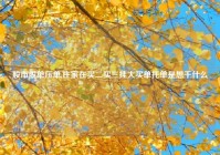 股市脱单压单,庄家在买二买三挂大买单托单是想干什么