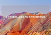 孕妇梦见跟别人谈恋爱,网络上有什么搞笑的动图