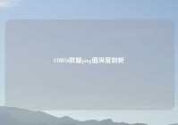 COD16欧服ping值深度剖析