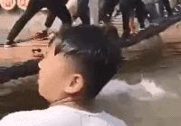 经典搞笑段子语录(有什么搞笑的视频题材可以推荐吗)