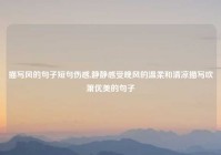 描写风的句子短句伤感,静静感受晚风的温柔和清凉描写吹箫优美的句子