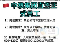 想了解在重庆同呈教育上班怎么样？薪资待遇和发展前景如何？
