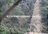 英文句子伤感短句,整首歌最后一句歌词是YOU