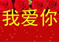 爱情说说我的心里话是什么歌(想你无法自拔是什么歌)