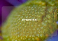 放学铃声的余震