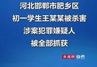 邯郸微信息平台：便捷获取邯郸本地招聘、房产、交友信息