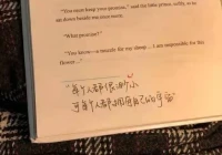 QQ签名个性网(求QQ英语个性签名)