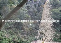 伤感短句个性签名,谁有能够表达一个人伤感落寞的心情语录