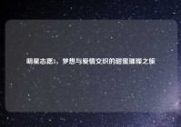 明星志愿3，梦想与爱情交织的甜蜜璀璨之旅