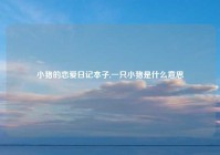 小猪的恋爱日记本子,一只小猪是什么意思