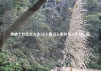 伤感个性签名大全(没人疼没人爱的句子伤感说说)