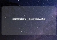 梅雨季的脑回沟，思绪在潮湿中蜿蜒