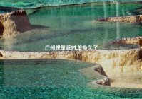 广州脱单派对,单身久了