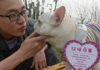 想脱单？个人征婚启事帮你找到TA