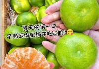 关于橘子的情感说说：你酸我甜，岁月如橘