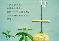 唯美的句子(关于满的优美句子)