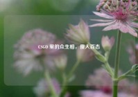 CSGO 里的众生相，傻人百态