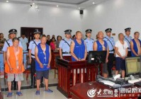 广饶马疃聂士朋等20人恶势力集团犯罪案件一审宣判