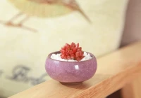 人生失落伤感感言(伤感文章)