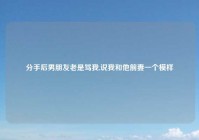 分手后男朋友老是骂我,说我和他前妻一个模样