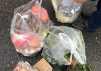 紧急！湖州疫情最新消息今天封城了，出行政策有哪些新变化？