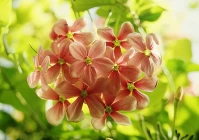 个性签名的经典句子(2021年进度余额不足的幽默说说)