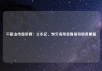 平顶山市委常委：王永记、刘文海等重要领导职务更新