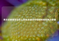 男生说聊骚你该怎么回答,但是你怀孕的时候他两次聊骚
