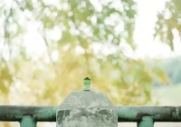 个性签名励志经典(你听过哪些肉麻的情话)