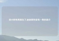 田小野有男朋友了,迪迦奥特曼每一集的简介