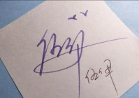 手写签名设计 个性签名 免费版(手机文档签名怎么做)