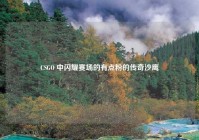 CSGO 中闪耀赛场的有点粉的传奇沙鹰