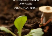 语录文案短句(麦吉丽朋友圈文案)