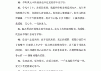 情感长句说说：那些打动人心的爱情长句分享