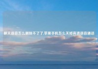 聊天语音怎么删除不了了,苹果手机怎么关掉高清语音通话