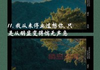 情感说说：让男人愧疚心酸的真情表达