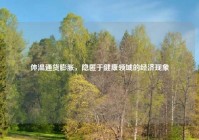 体温通货膨胀，隐匿于健康领域的经济现象