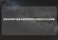 恋爱中的犀牛歌曲,你是我带着阳光味道的衬衫出自哪里
