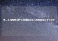 我女友的男朋友别名,段嘉许桑延沈倦谢辞江忍小说名字