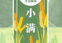 短句文案情话(元宵节情话最暖心短句文案)