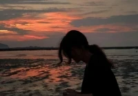 伤感文案短句(对人失望的短句文案)